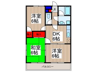 カーサコリーナの物件間取画像